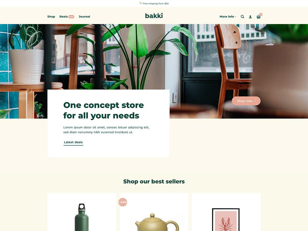 Bakki